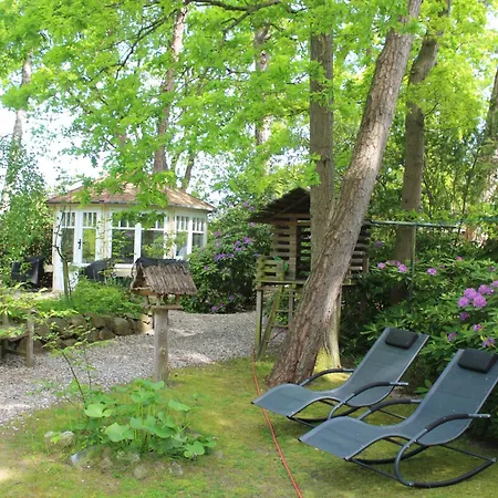 Apartment Strandvilla Hubertus - H2 - Frida Kahlo Mit Terrasse Mit Meerblick Parkplatz Wlan Küche Garten Grillplatz Waldbaden Boltenhagen