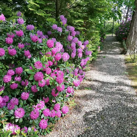 Strandvilla Hubertus - H2 - Frida Kahlo Mit Terrasse Mit Meerblick Parkplatz Wlan Kueche Garten Grillplatz Waldbaden 아파트